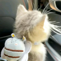 tác giả cuteo