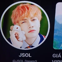 Thái Sơn ( jsol)