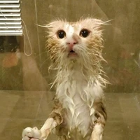 Nhỏ t/g xồn làm