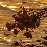 All (trừ ai thì trừ)