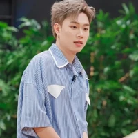 dương domic