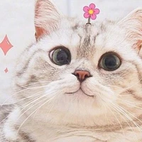 Đầu Mọc 🌷