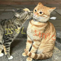 Sóc