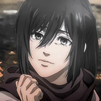 mikasa