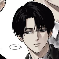 levi