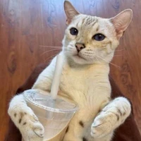 Tác Giả