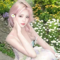 Trần Tinh Trì _ ả