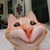 tôi