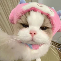 T/G [lười]