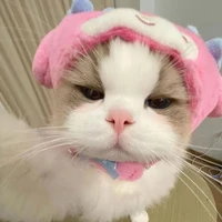 T/G [lười]