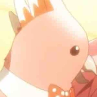 Kamekichi ( Em Vẹt Hường Cute )