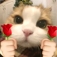 tác giả bị nuwsng