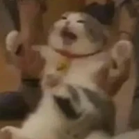 Hệ Thống Sờ lay 💅