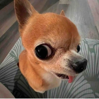 Hệ Thống-Tín Chỉ 