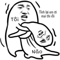 Các NVP