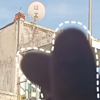 tác giả