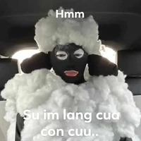 Nhỏ t/g