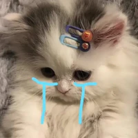 t/g đây 