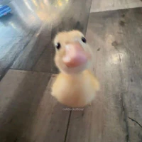 ong