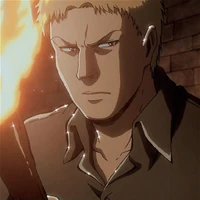 Reiner Braun