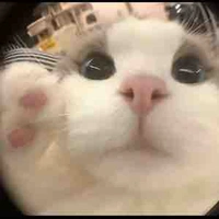 Tác giảaa🧸