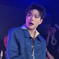 dương domic
