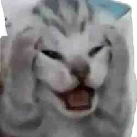 Chấp mọi vai diễn