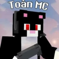 Toàn mc