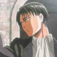 Levi