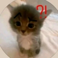 mèo