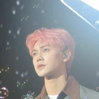 Nguyễn Thái Sơn ( Jsol )