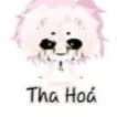hiha tha hóa