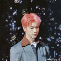 N.T.Sơn