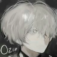 ozin