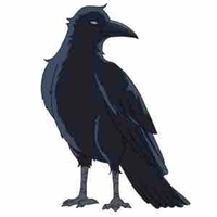 Quạ Kasugai ( của ai thì của ) 