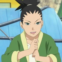 Nara Shikadai (NT)