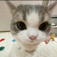 con tác giả chuyên viết sai chính tả 😔