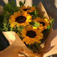 🌻🌻🌻🌻