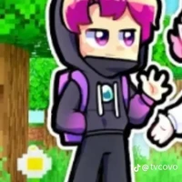 hiha enderman