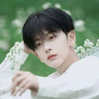 Chu Yến