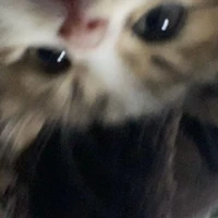 ad
