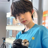 Trần Dịch Hằng