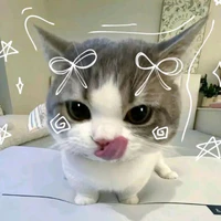 t/g