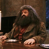 Rubeus Hagrid