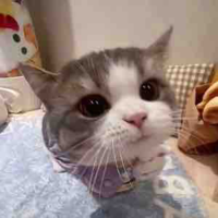 Nhỏ t/g hay drop vì lười 