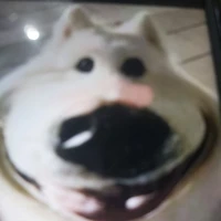 ？？？