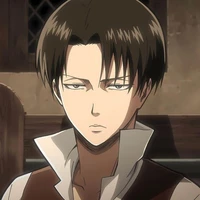 levi