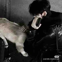 Nguyễn Quốc Trí