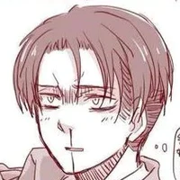 levi