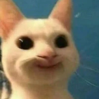 tg cháy như fifai=))